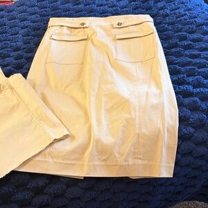 Frances Valentine Tan Pencil Skirt and Matching Top